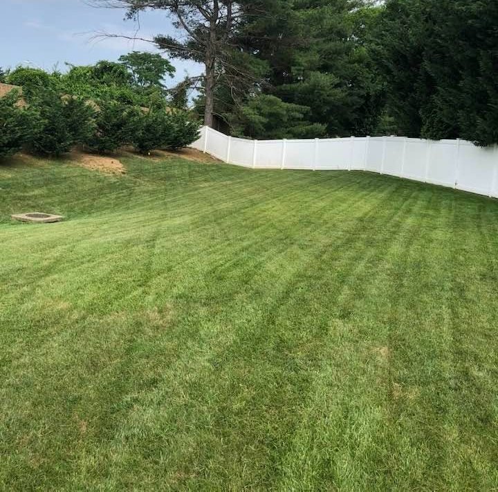 Striped lawn along a white vinyl fence